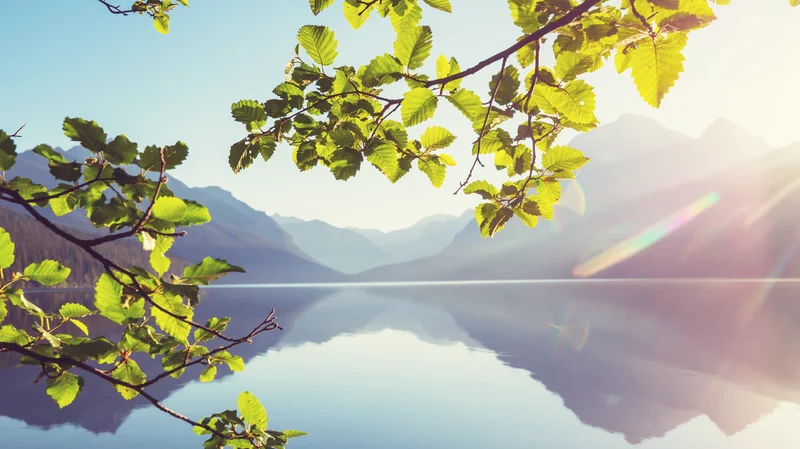 Renovierungen & Handwerksdienste