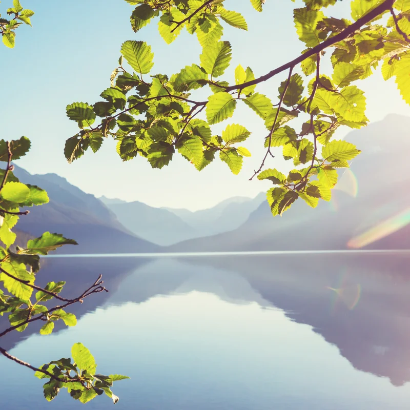 Renovierungen & Handwerksdienste