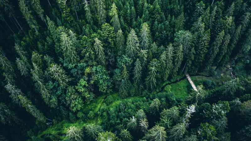 Verpacken und Auspacken