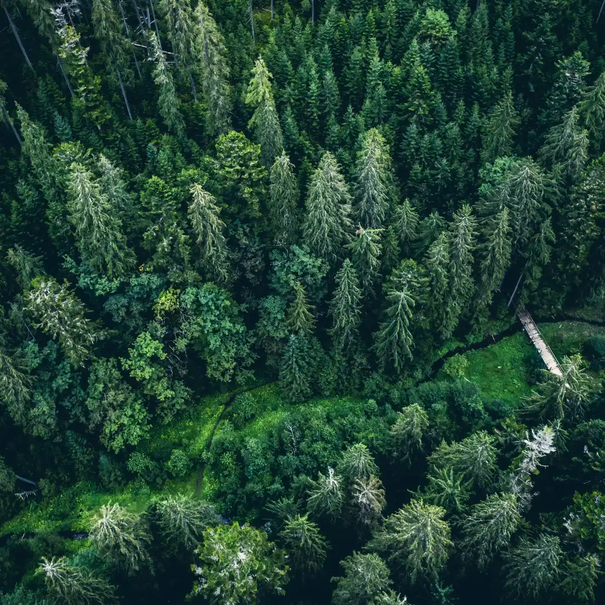 Verpacken und Auspacken